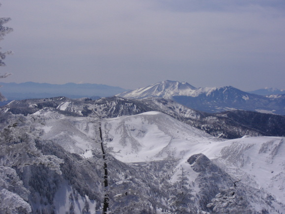 b0017892_14551776.jpg