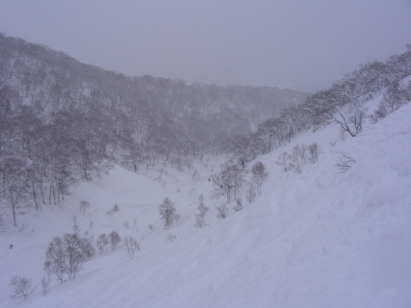 b0017892_15145194.jpg