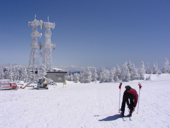 b0017892_15373864.jpg