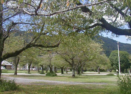 d0053294_1223961.jpg