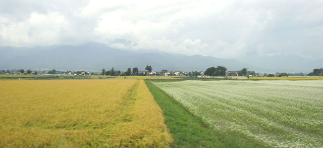 d0004301_23212536.jpg