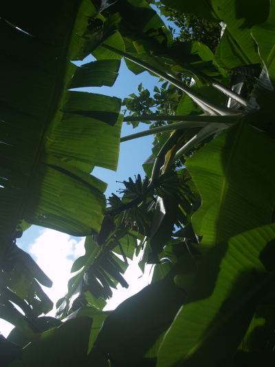 e0089001_21505971.jpg