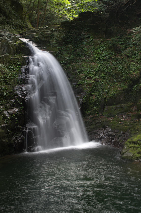 f0221510_7461443.jpg