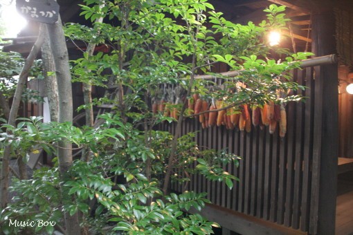 c0071221_1021322.jpg
