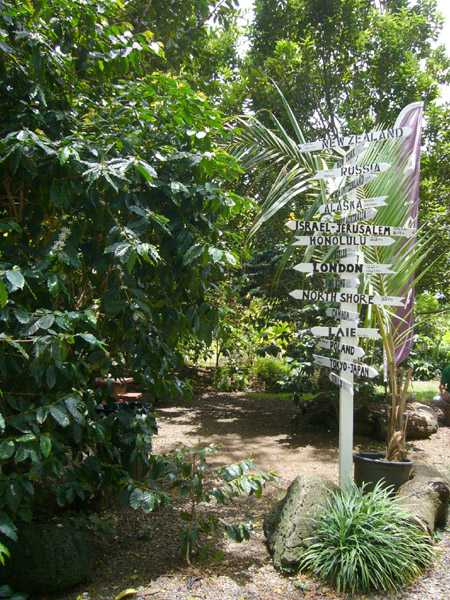 e0163721_1015012.jpg