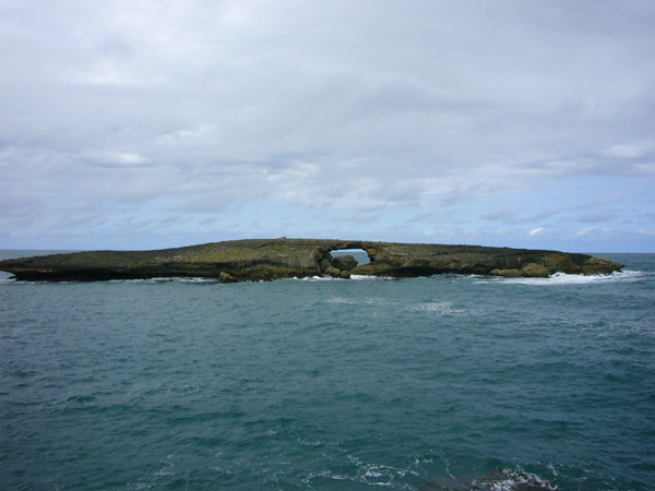 e0163721_1028167.jpg
