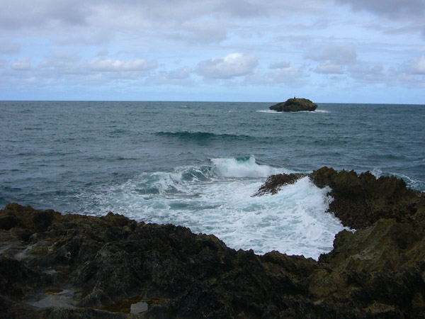e0163721_10312015.jpg