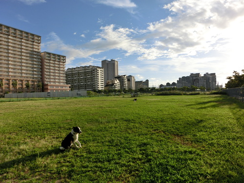 e0179321_2116912.jpg