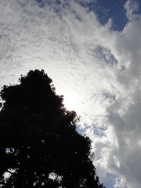 c0189724_18502815.jpg