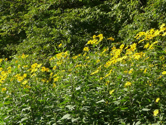 c0009528_22344184.jpg