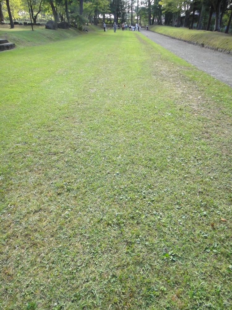 c0111229_17213578.jpg