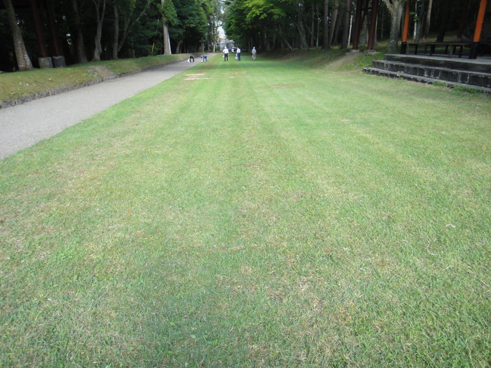 c0111229_17215589.jpg