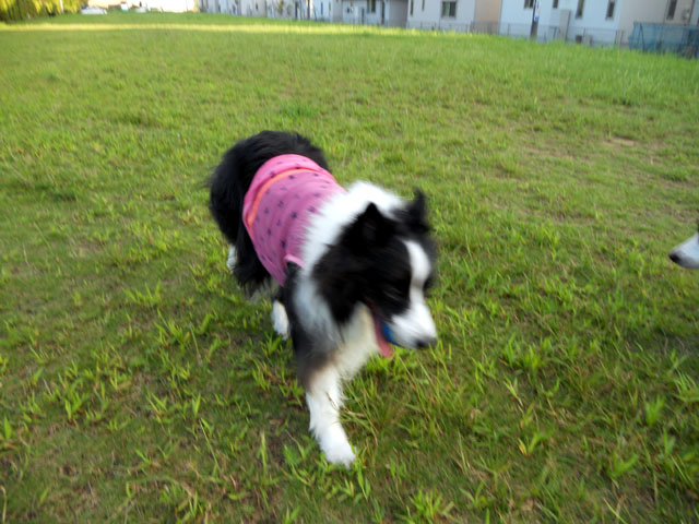 d0059230_8395389.jpg