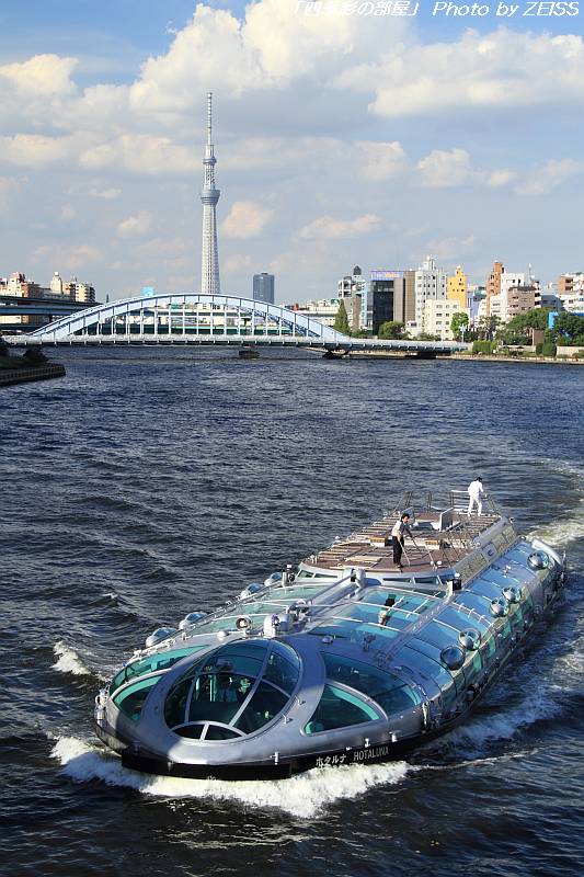 a0195032_20592746.jpg