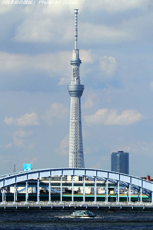 a0195032_2104722.jpg