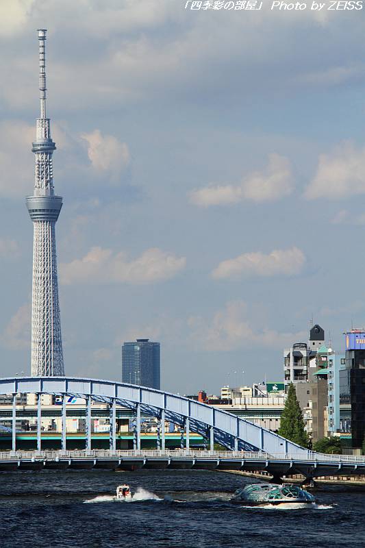 a0195032_2123562.jpg