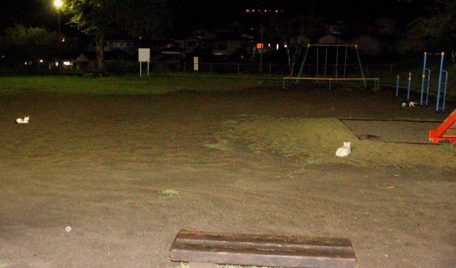 b0060239_13315744.jpg