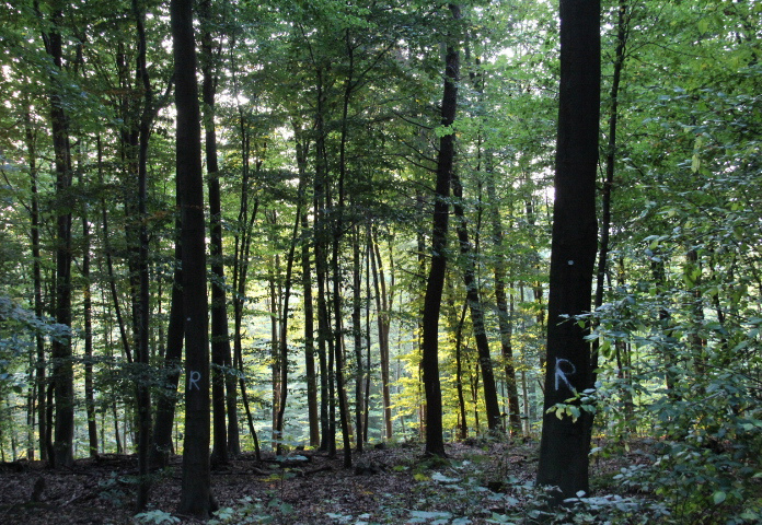 c0153740_3121451.jpg