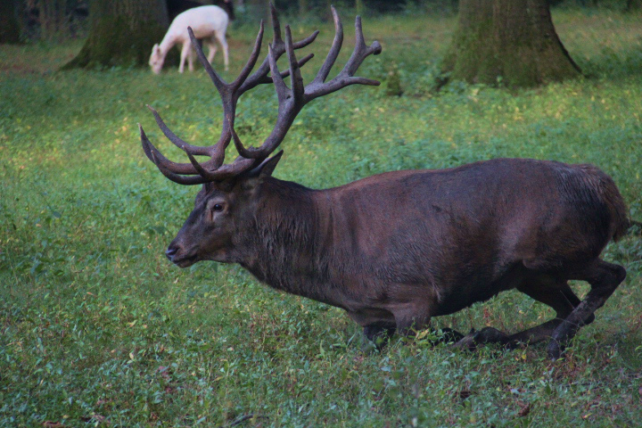 c0153740_37554.jpg