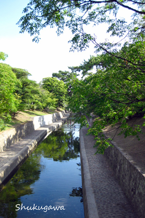 e0208444_1921373.jpg