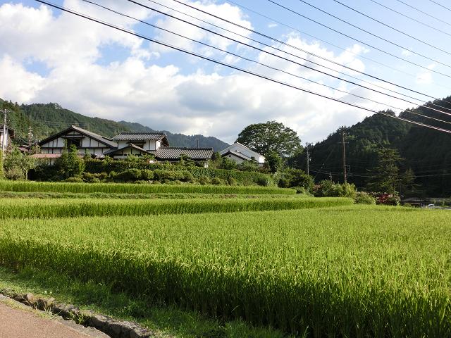 c0156345_1492823.jpg