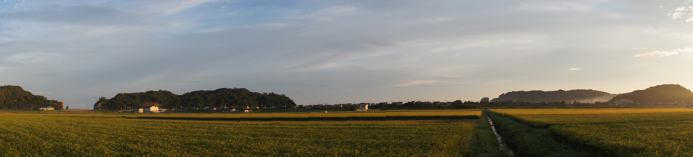 f0214649_961027.jpg