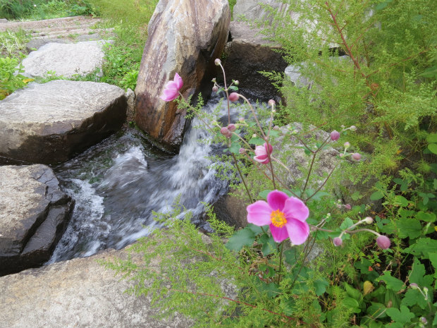 c0043751_16481684.jpg