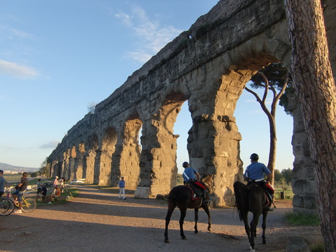 c0206352_602975.jpg