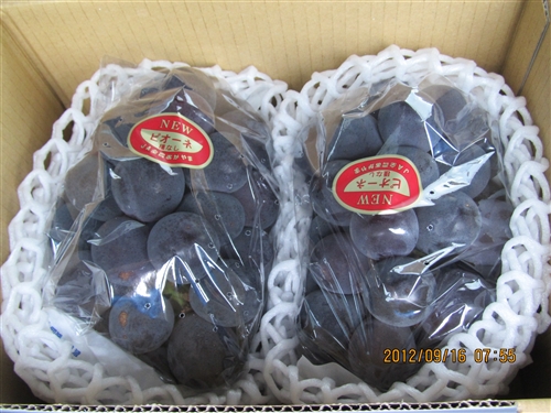 f0037753_16342127.jpg