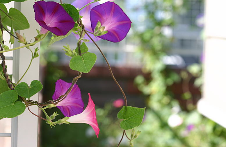 b0250154_13531013.jpg