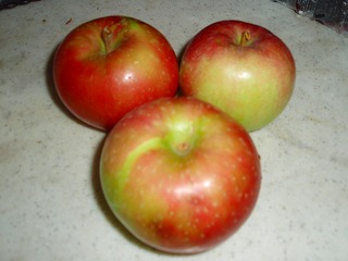 e0004756_2114128.jpg