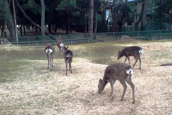 d0021258_18422056.jpg