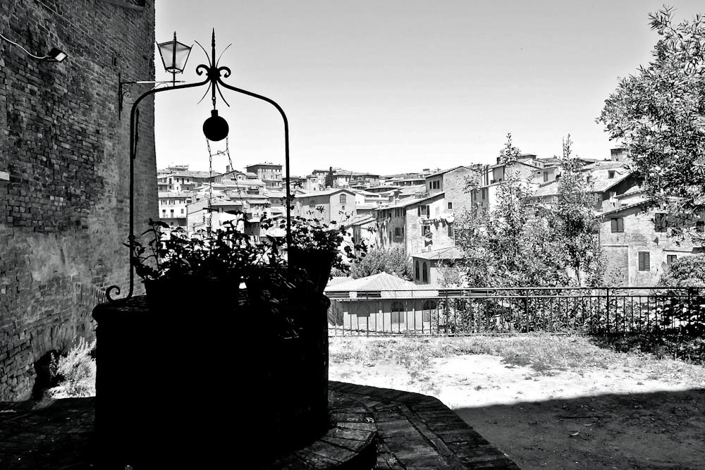 d0175768_15134547.jpg