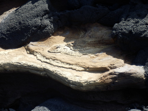 e0292172_2041204.jpg