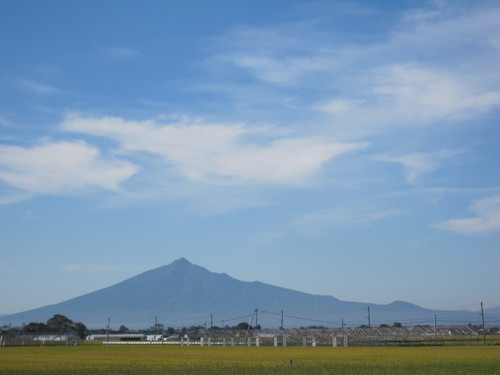 d0116173_2133153.jpg