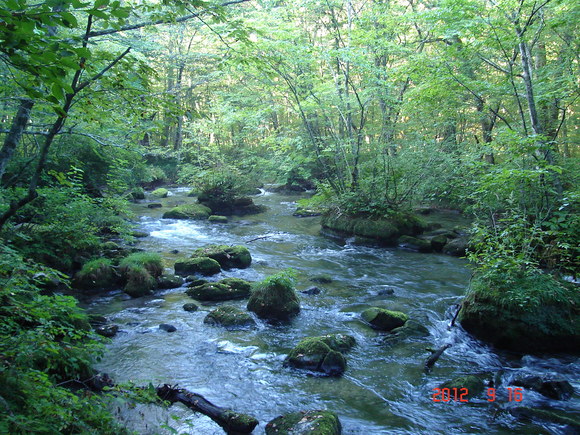a0188775_13465374.jpg