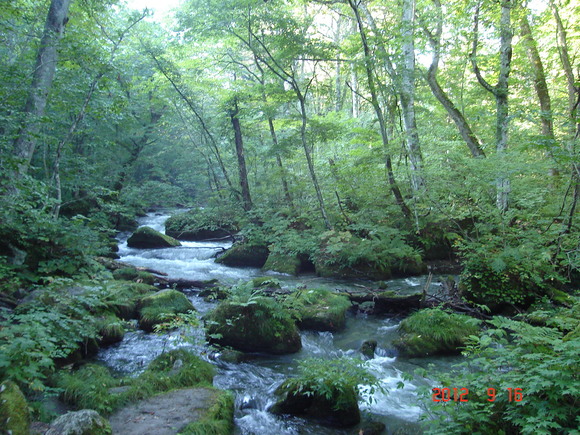 a0188775_13474675.jpg
