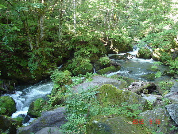 a0188775_13481979.jpg