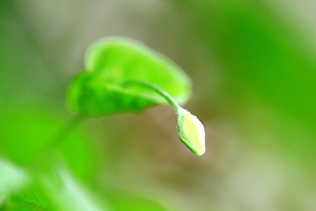 d0126577_20505636.jpg