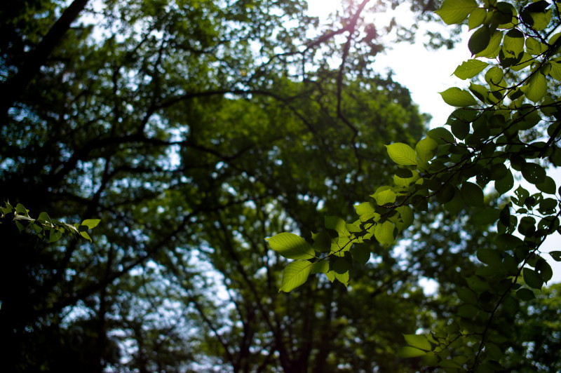 b0246079_13512024.jpg