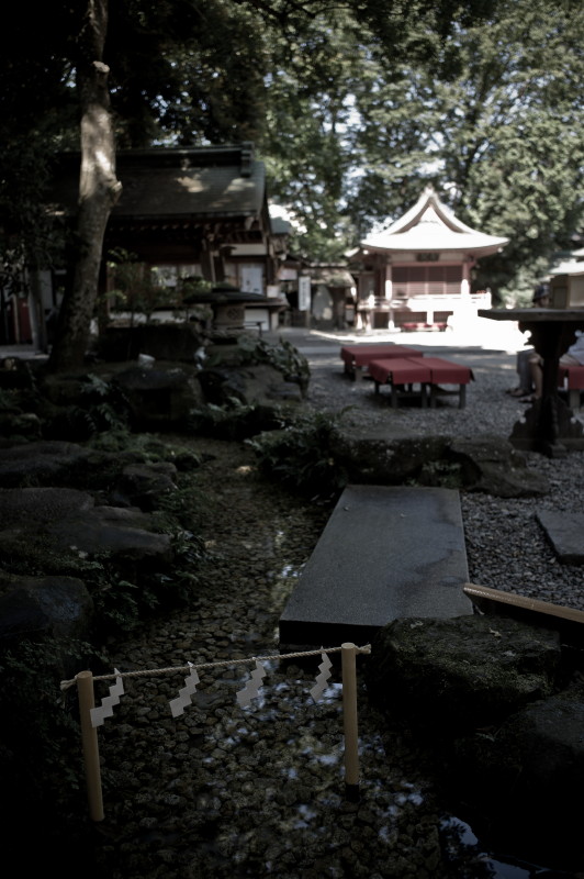 b0246079_15541169.jpg