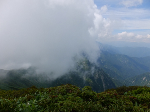 a0043982_1612865.jpg