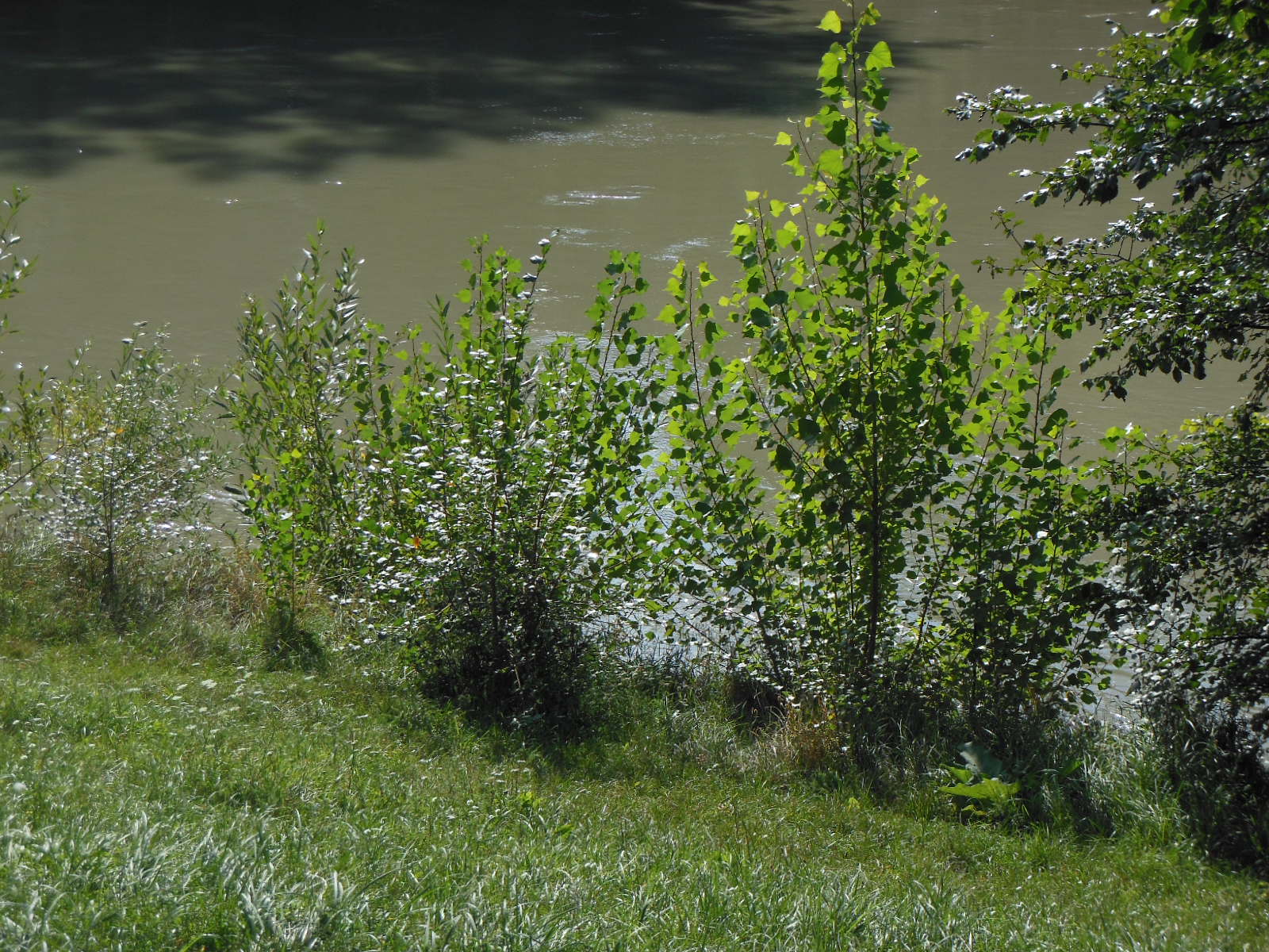 a0080183_2401249.jpg