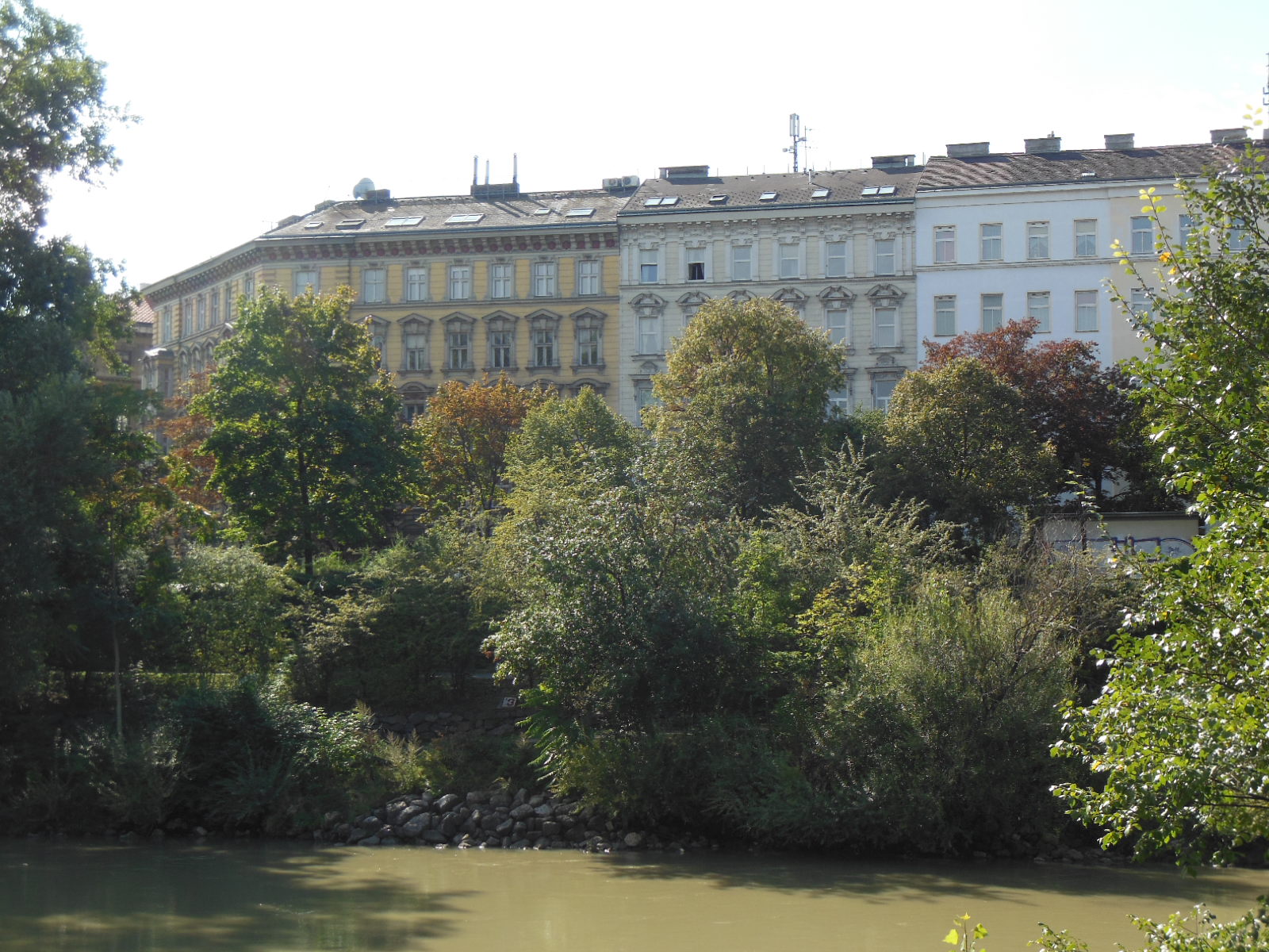a0080183_2423355.jpg