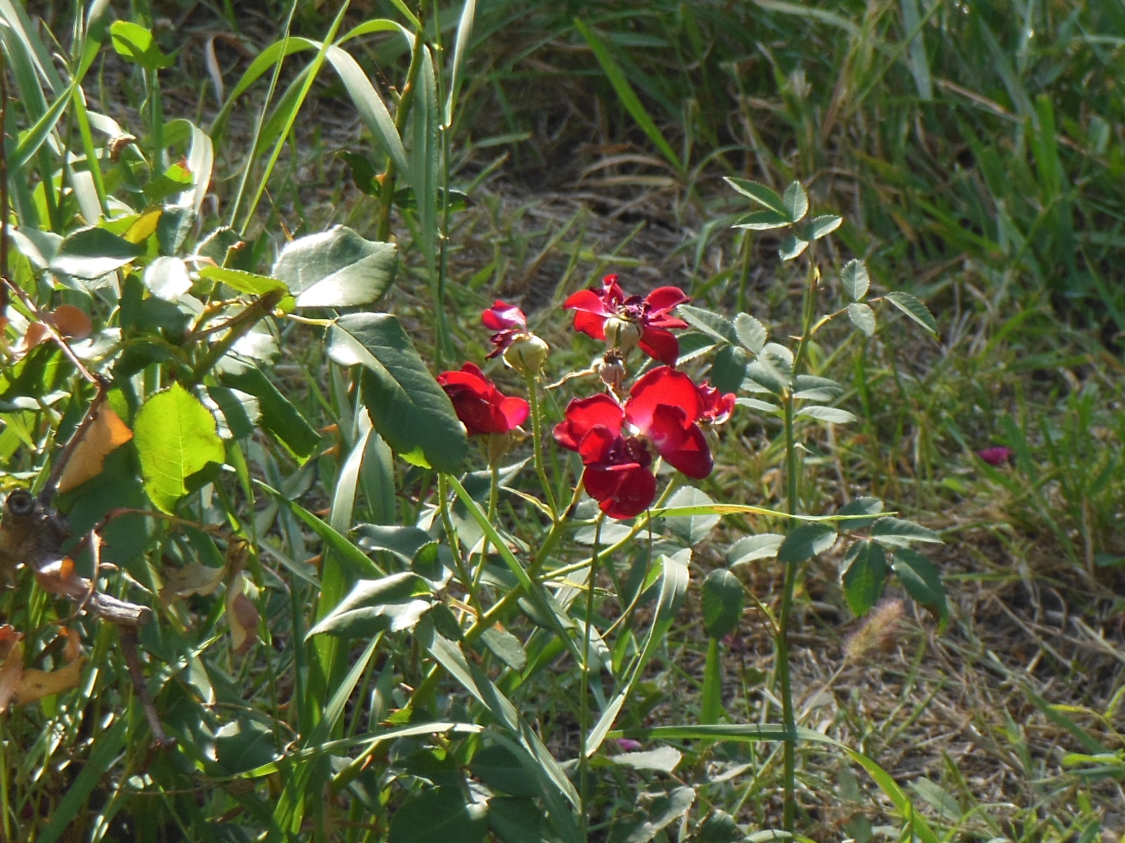 a0080183_2433475.jpg