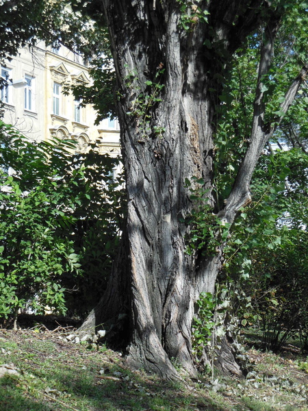a0080183_2514310.jpg