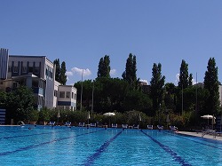 a0142083_21464656.jpg