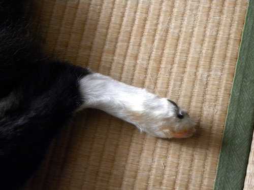 c0120585_9395666.jpg