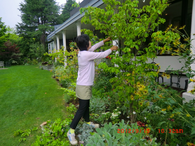c0078586_22374766.jpg