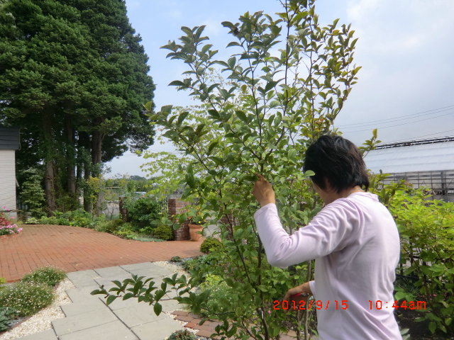 c0078586_22442636.jpg